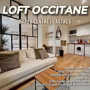 Loft Occitane Hyper Centre Castres Appartement